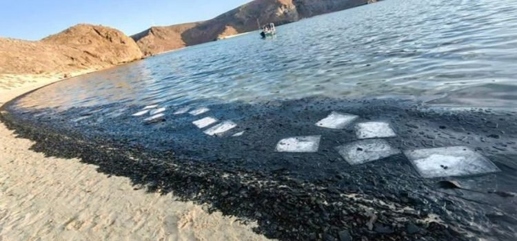Daño ecológico ocasiona cierre en Playa de BCS Daño ecológico ocasiona cierre en Playa de BCS