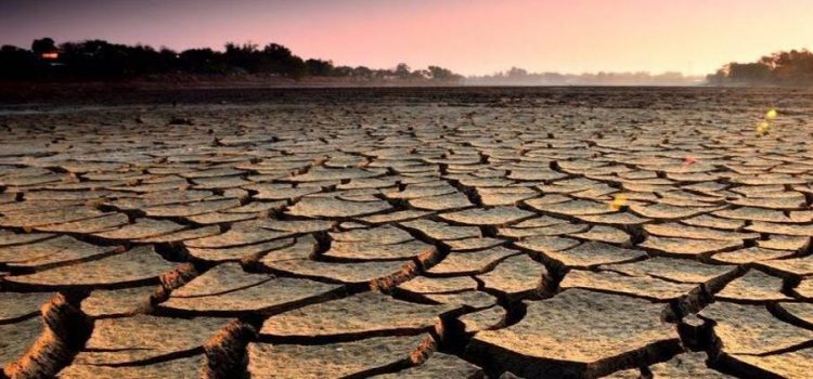 Sin municipios en condición de sequía extrema en Sonora