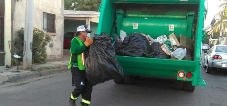 Suman 12 trabajadores de recolección deshidratados en Cajeme