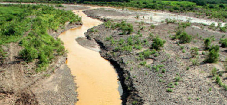 Minera de Grupo México es responsable de contaminación del Río Sonora