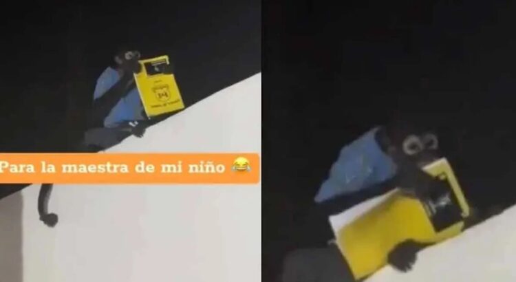 ¿Le creerá la maestra?: en Culiacán un chango le robó la tarea a un niño