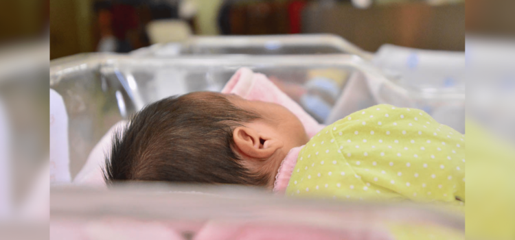 Cierra 2024 con 20 adopciones realizadas en Sonora