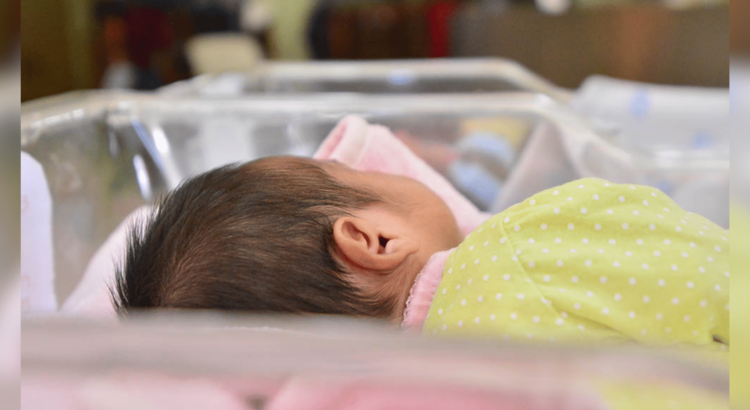 Cierra 2024 con 20 adopciones realizadas en Sonora