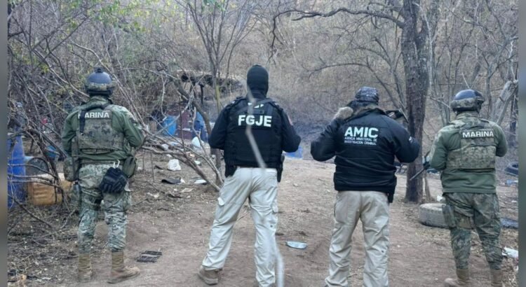Aseguran narcolaboratorio en Álamos, al sur de Sonora