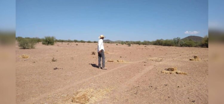 Anuncian apoyos para los productores del sur del estado para la reconversión de cultivos