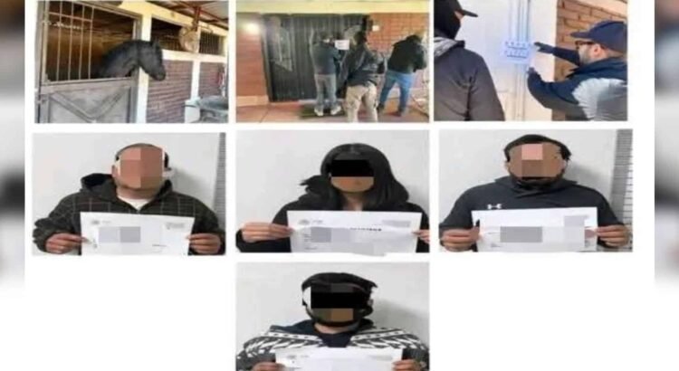 Decomisan tigre, caballos y venados en cateo en Sonora