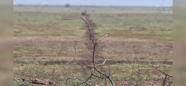 Más sequía para Sonora este 2025 por cuestiones climáticas
