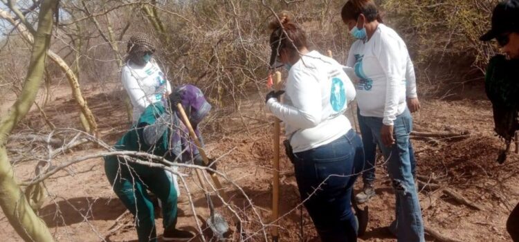 Localizan y procesan 11 fosas clandestinas en Sonora