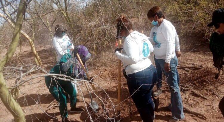 Localizan y procesan 11 fosas clandestinas en Sonora