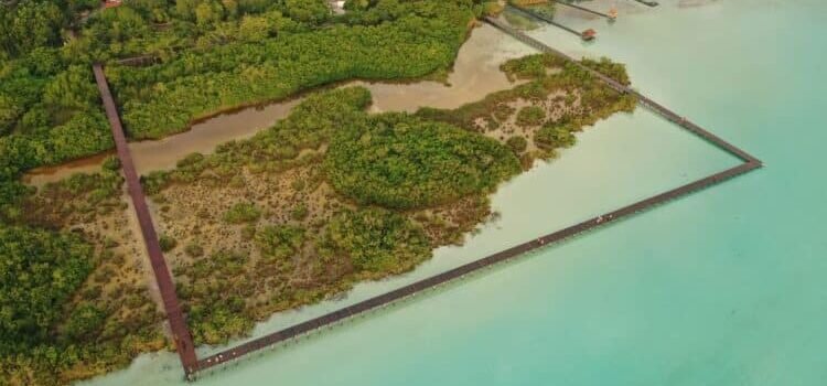 Ecoparque de Bacalar es finalista del Mies Crown Hall Americas Prize