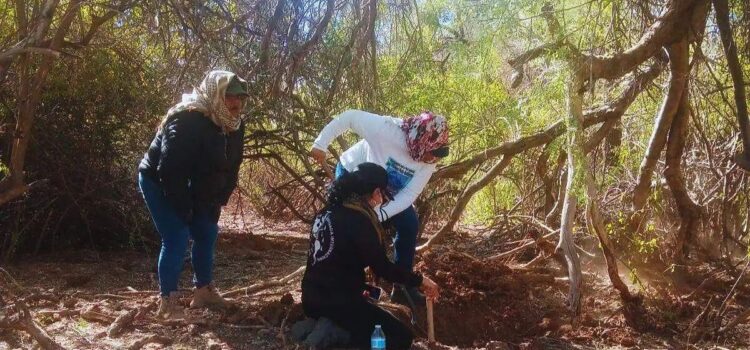 Suman 40 osamentas encontradas en cementerio clandestino de Hermosillo