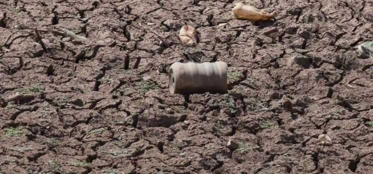 Más del 60% de Sonora está en sequía de extrema a extraordinaria
