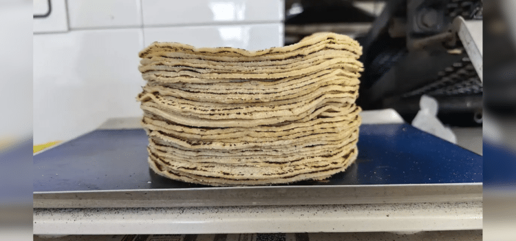 Sonora vende las tortillas de maíz más caras de México: Profeco Sonora vende las tortillas de maíz más caras de México: Profeco