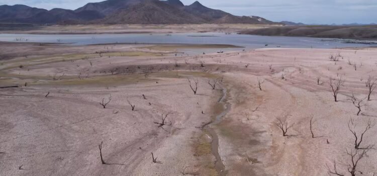 Generan preocupación presas del Sur de Sonora al 1% de su capacidad