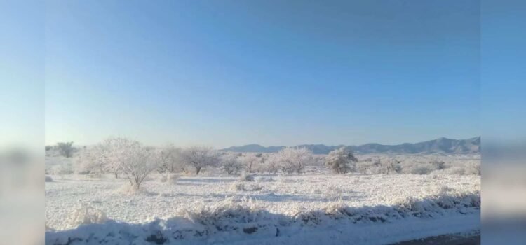 Caída de nieve sorprende a Sonora