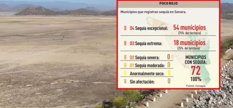 Reportan 75% de municipios de Sonora con nivel más grave de sequía