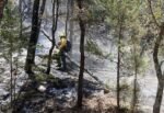 Continuan activos tres incendios forestales en Sonora