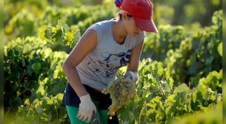 Mujeres jefas de familia aportan 47.8 % de la economía en Sonora