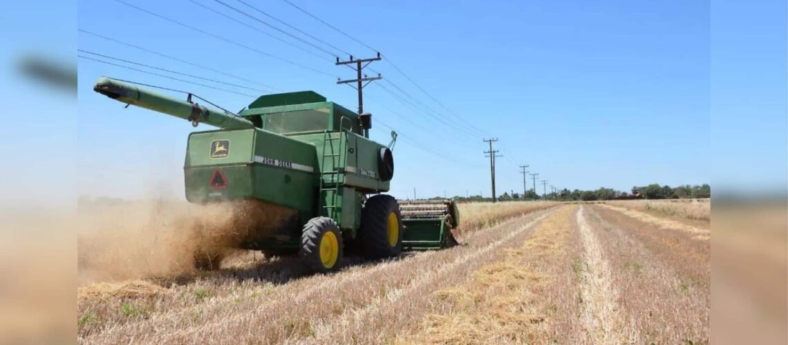 Proyectan autoridades que se triplique producción de cultivos de bajo consumo de agua en Sonora Proyectan autoridades que se triplique producción de cultivos de bajo consumo de agua en Sonora