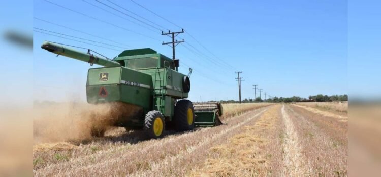 Proyectan autoridades que se triplique producción de cultivos de bajo consumo de agua en Sonora