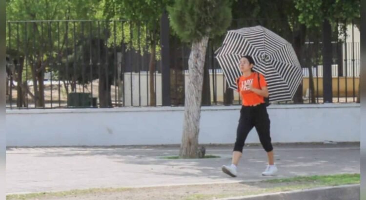 ¿Qué efectos tienen la canícula y el monzón de verano en Sonora?