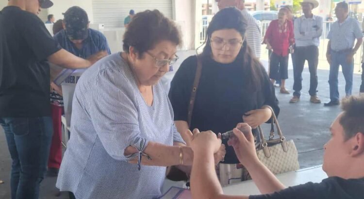 Ni el 10% del padrón participó en la elección judicial en Sonora