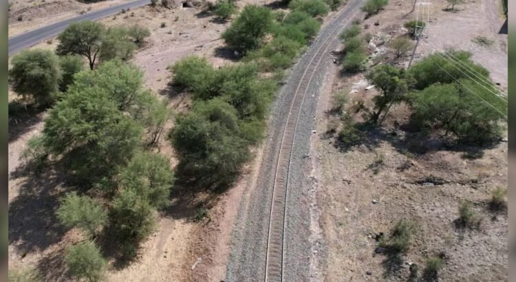 Niños encuentran restos óseos en Sonora