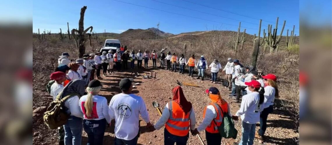Colectivos encuentran 18 cuerpos en 5 días