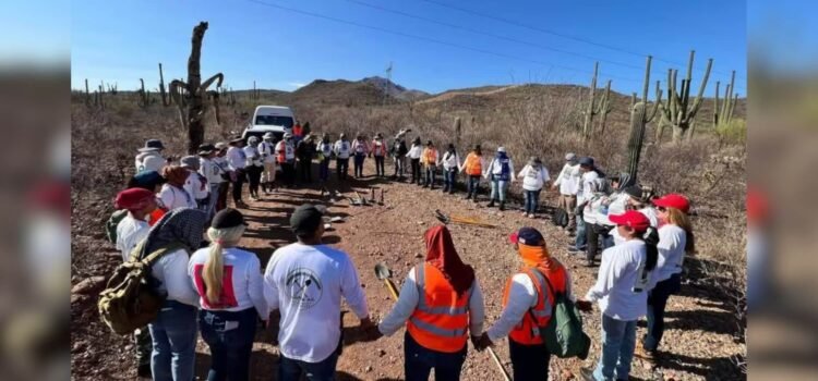 Colectivos encuentran 18 cuerpos en 5 días Colectivos encuentran 18 cuerpos en 5 días