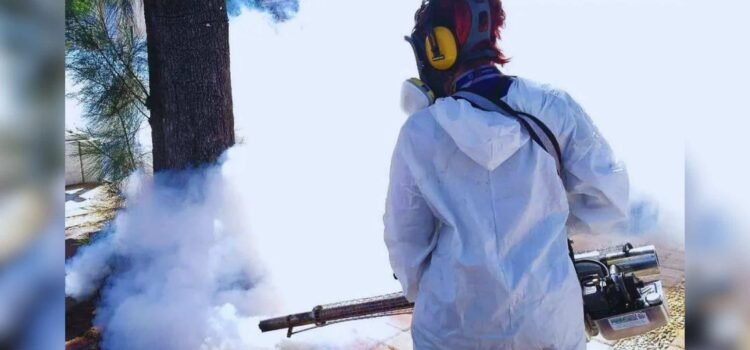 Con 17 casos, Sonora se encuentra en temporada baja de dengue Con 17 casos, Sonora se encuentra en temporada baja de dengue