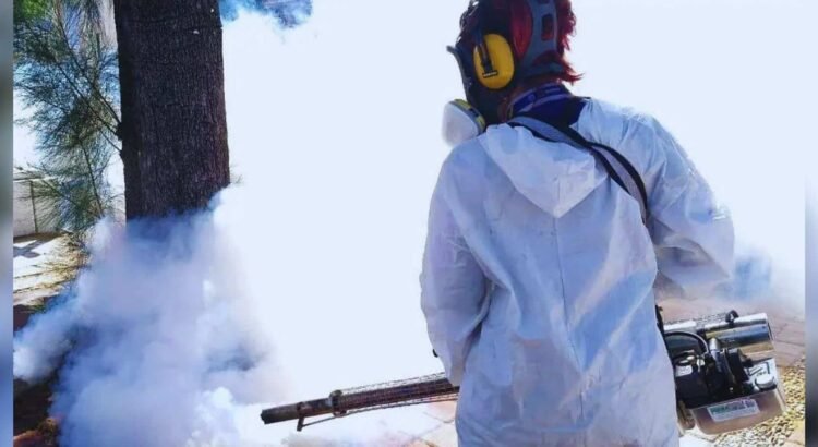 Con 17 casos, Sonora se encuentra en temporada baja de dengue