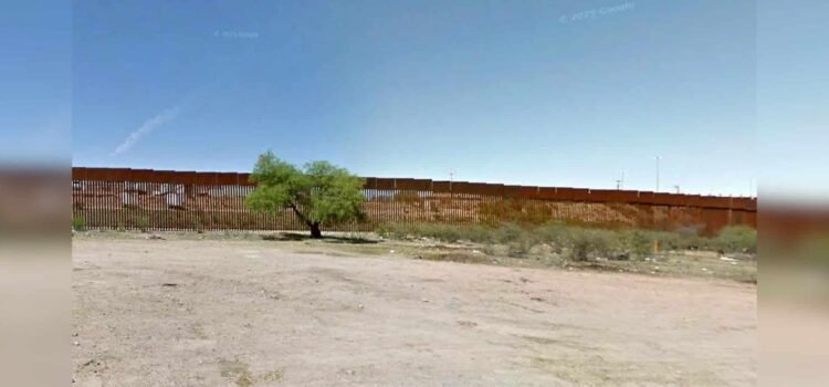 Ambientalistas analizan afectaciones en Sonora con ampliación del muro fronterizo Ambientalistas analizan afectaciones en Sonora con ampliación del muro fronterizo