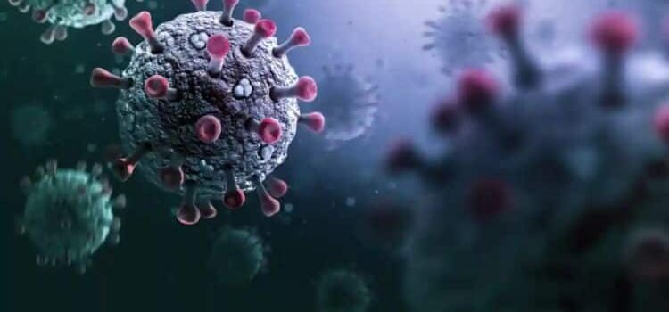 Emite la OMS alerta por virus Stratus Emite la OMS alerta por virus Stratus