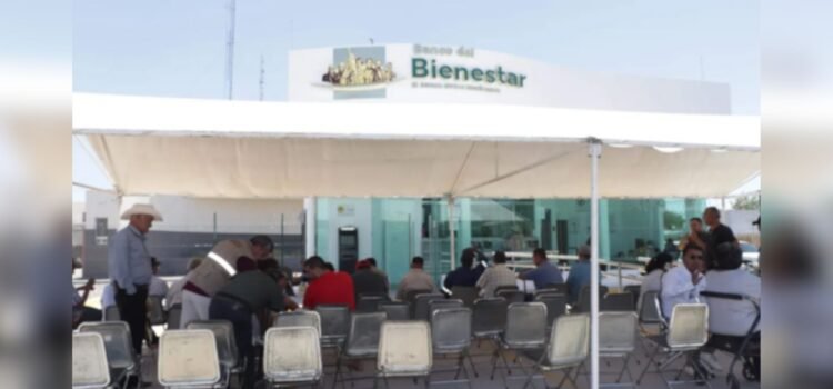 Secretaría del Bienestar alerta sobre fraudes a adultos mayores en Sonora