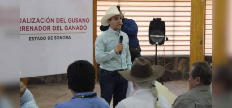 Refuerzan capacitación a más de 30 mil ganaderos en Sonora ante reapertura con EU