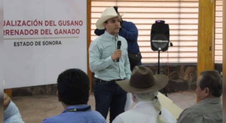 Refuerzan capacitación a más de 30 mil ganaderos en Sonora ante reapertura con EU