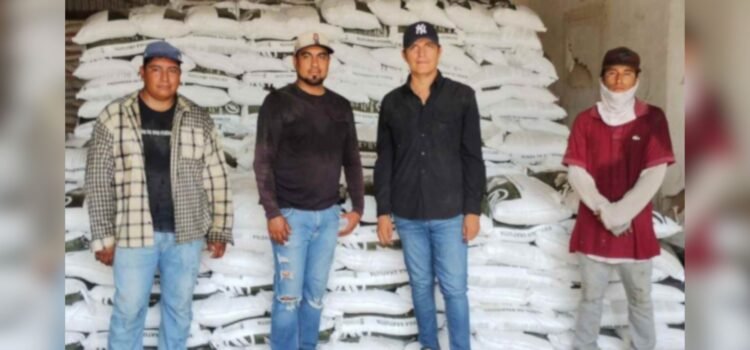 Programa ‘Fertilizantes para el Bienestar’ registra avance del 81% en Sonora Programa ‘Fertilizantes para el Bienestar’ registra avance del 81% en Sonora