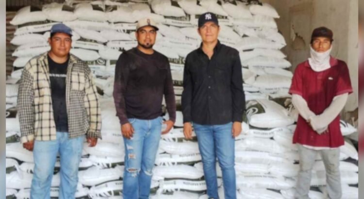 Programa ‘Fertilizantes para el Bienestar’ registra avance del 81% en Sonora