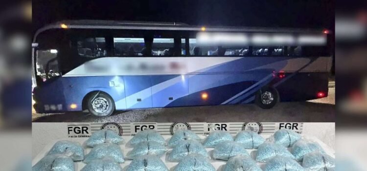 Detienen a dos personas en Sonora con cerca de 200 mil pastillas de fentanilo Detienen a dos personas en Sonora con cerca de 200 mil pastillas de fentanilo