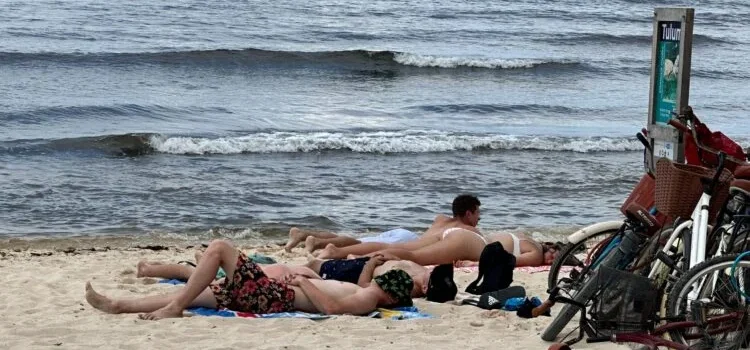 Disminuye presencia de sargazo en playas de Tulum