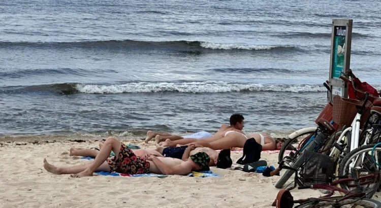 Disminuye presencia de sargazo en playas de Tulum