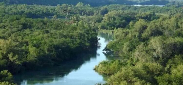 Este es el río más grande de Sonora: cruza 30 municipios y llega hasta EU