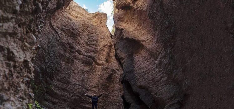 El Cañón del Caracol, un rincón increíble en la sierra alta sonorense El Cañón del Caracol, un rincón increíble en la sierra alta sonorense