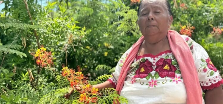 Aprueba Cofepris primer consultorio tradicional indígena en Sonora Aprueba Cofepris primer consultorio tradicional indígena en Sonora