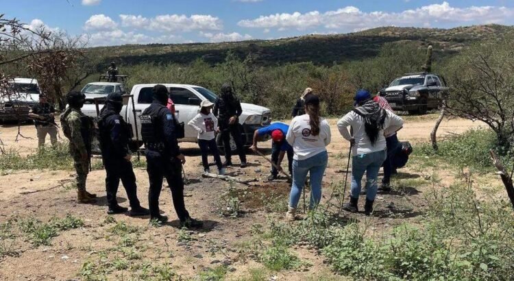Investiga Fiscalía restos humanos encontrados dentro de camionetas quemadas en Sonora