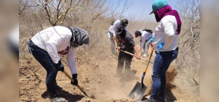 Desaparecidos en Sonora: Realizan cerca de 600 jornadas de búsqueda en 2025