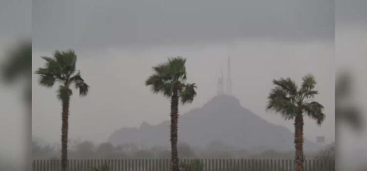 Saldo blanco en Sonora tras intensas lluvias de la tormenta tropical Lorena; autoridades siguen atendiendo las afectaciones Saldo blanco en Sonora tras intensas lluvias de la tormenta tropical Lorena; autoridades siguen atendiendo las afectaciones